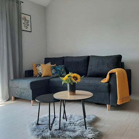 Apartament Miodowy Władysławowo Esterno foto